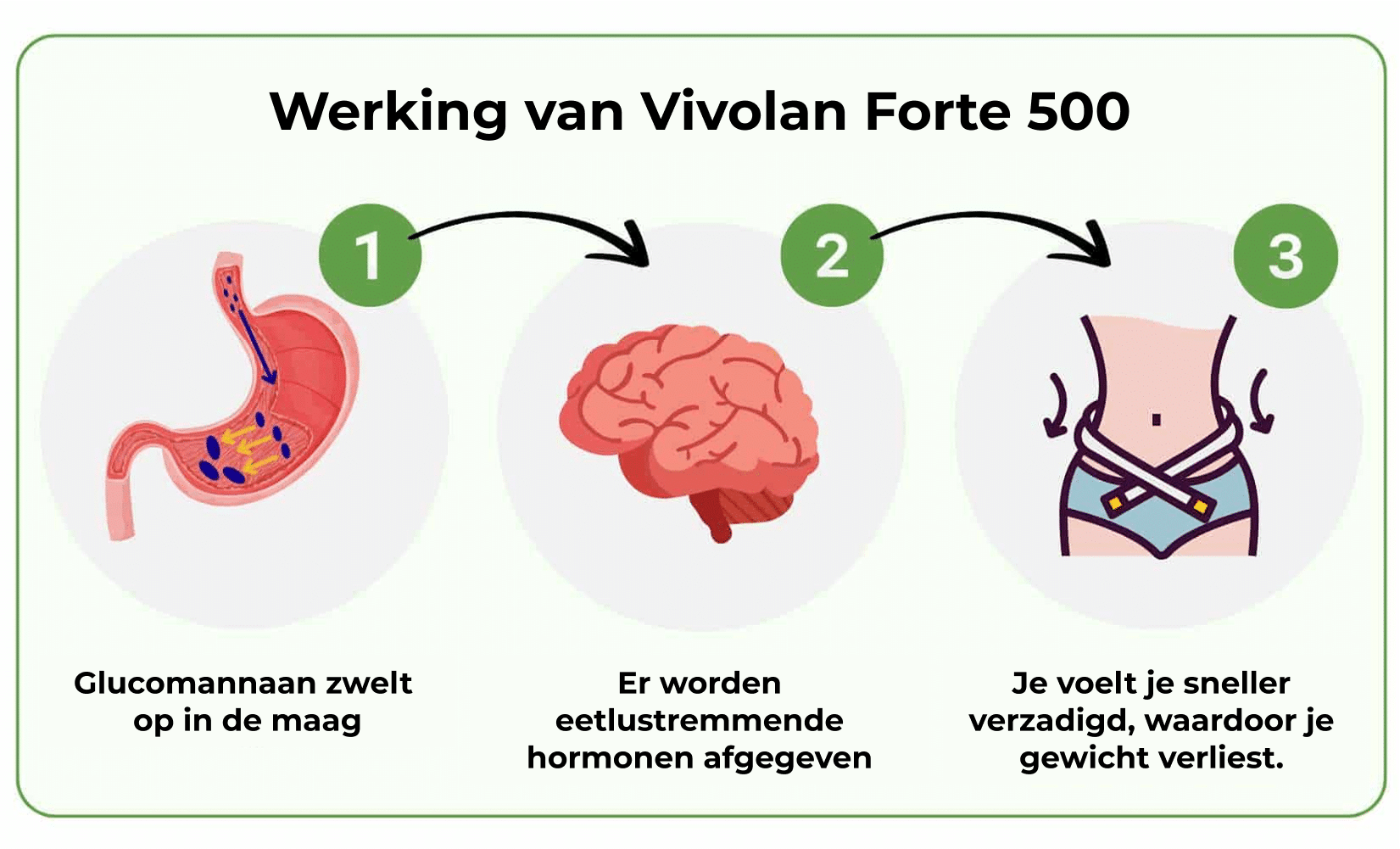 Werking Vivolan Forte 500 - 3 stappen naar afslank succes