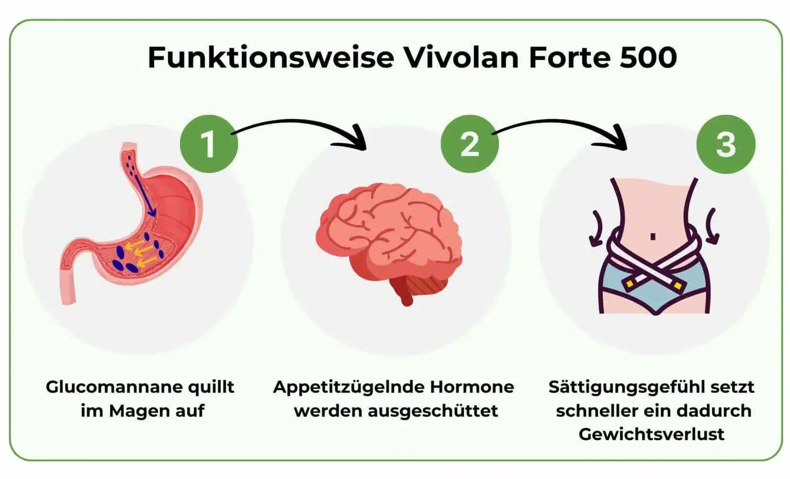 Werking Vivolan Forte 500 - Glucomannan effect