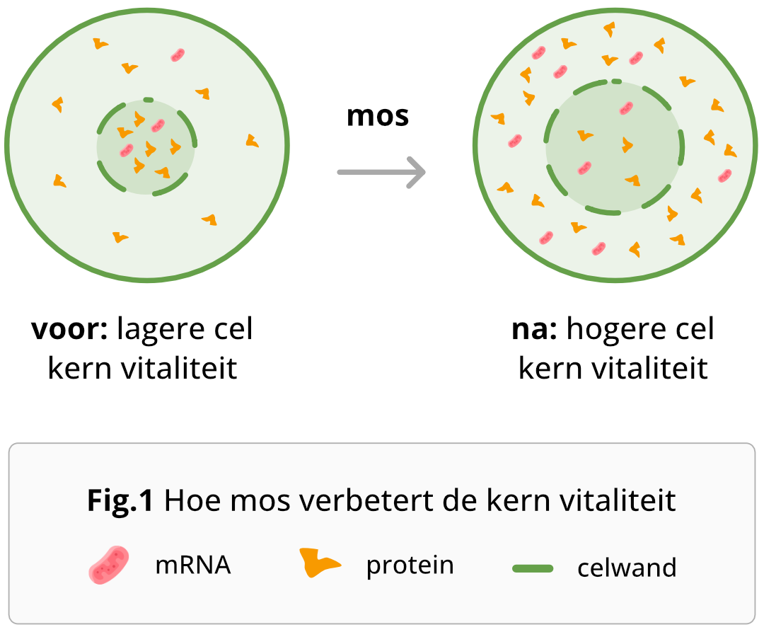 Illustratie van het mos-effect (mobiel)